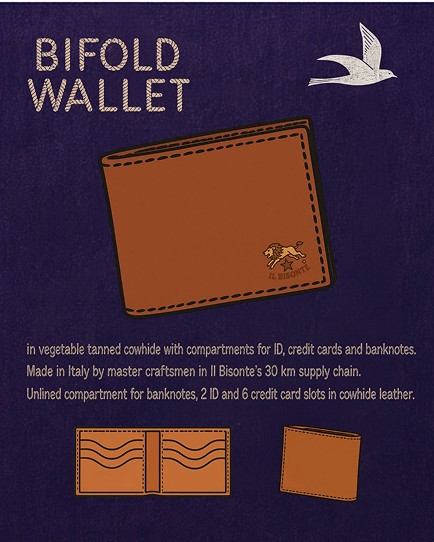 Bifold wallet campaign card